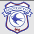 Cardiff City