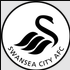 Swansea City
